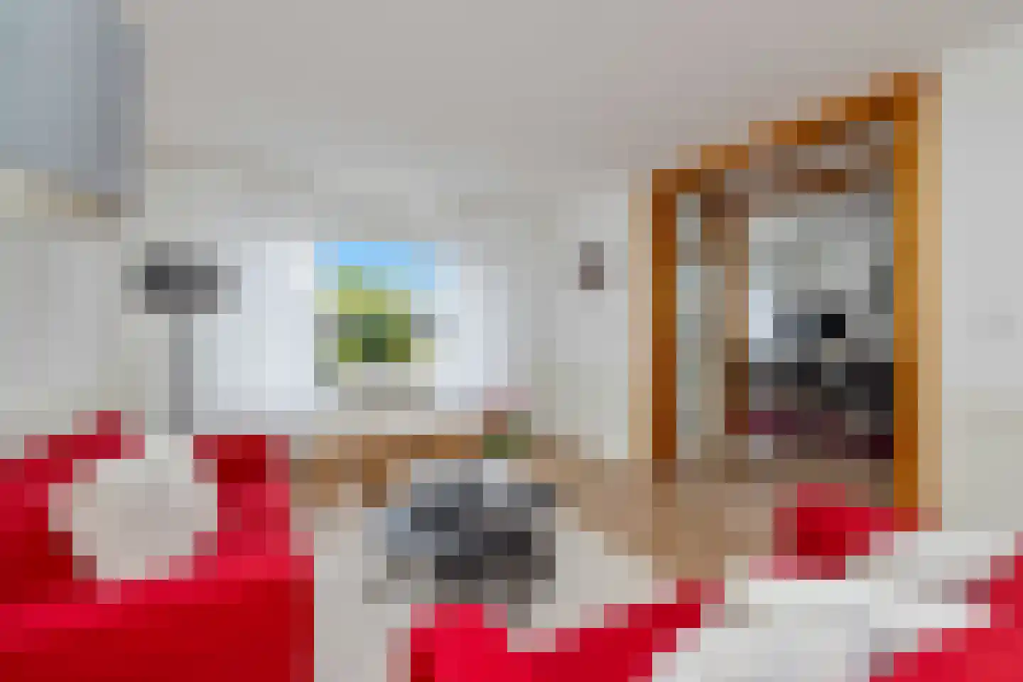 Bosstraat 64 Winkel thumbnail 17