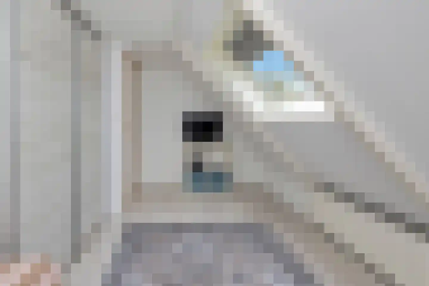 Bosstraat 64 Winkel thumbnail 29