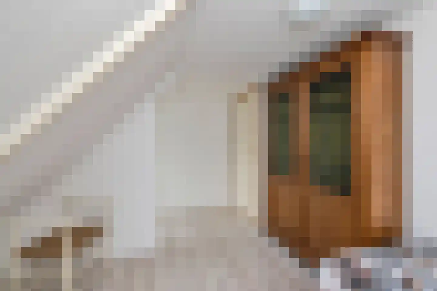 Bosstraat 64 Winkel thumbnail 34