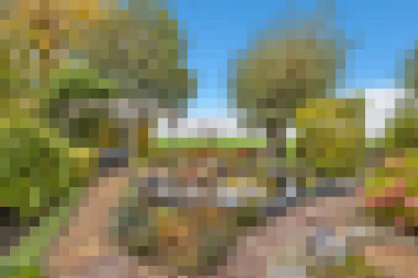 Bosstraat 64 Winkel thumbnail 43