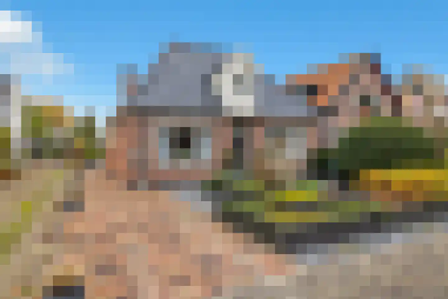 Bosstraat 64 Winkel thumbnail 6
