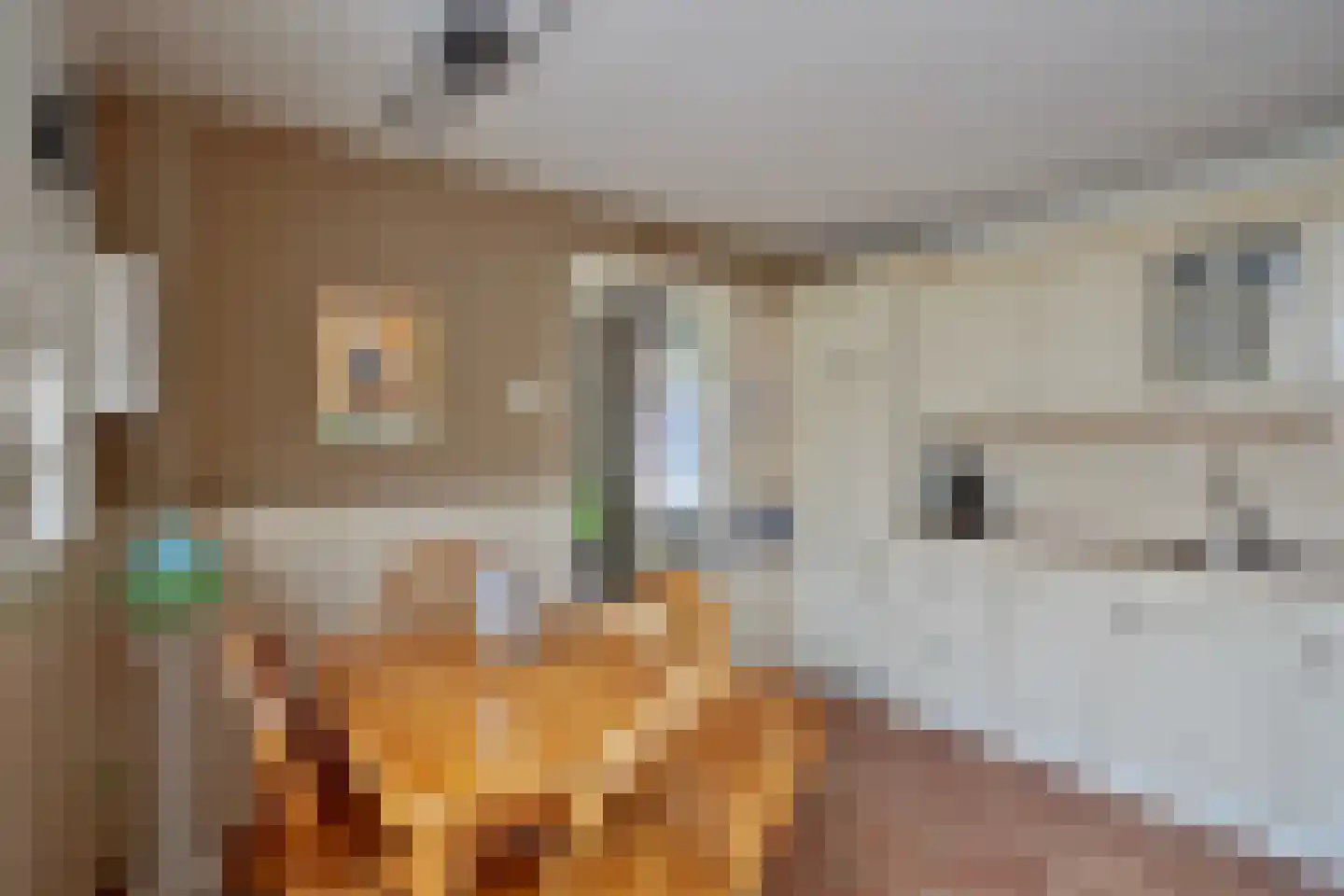 Bosstraat 66 Swalmen thumbnail 17