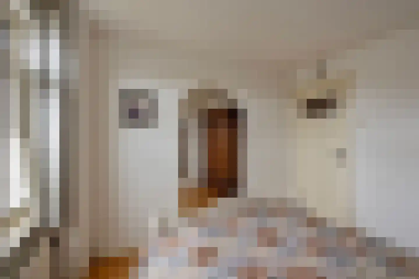 Bosstraat 66 Swalmen thumbnail 30