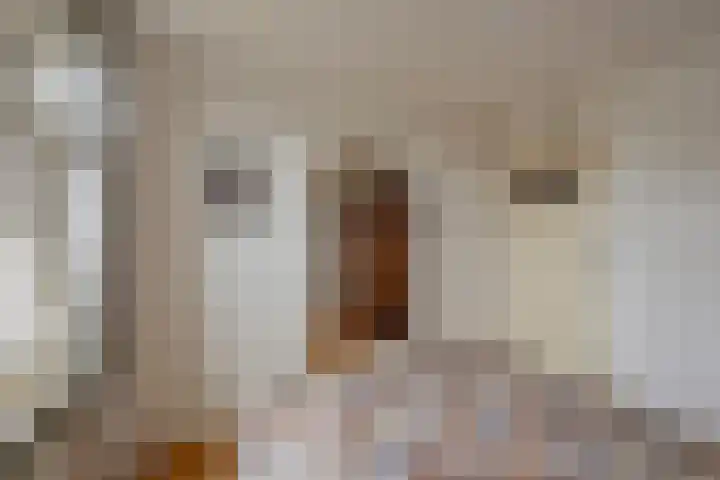 Bosstraat 66 Swalmen thumbnail 30