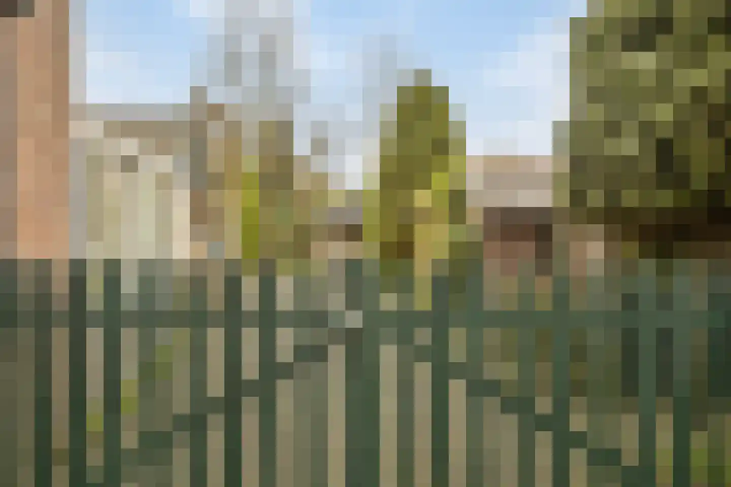 Bosstraat 66 Swalmen thumbnail 40