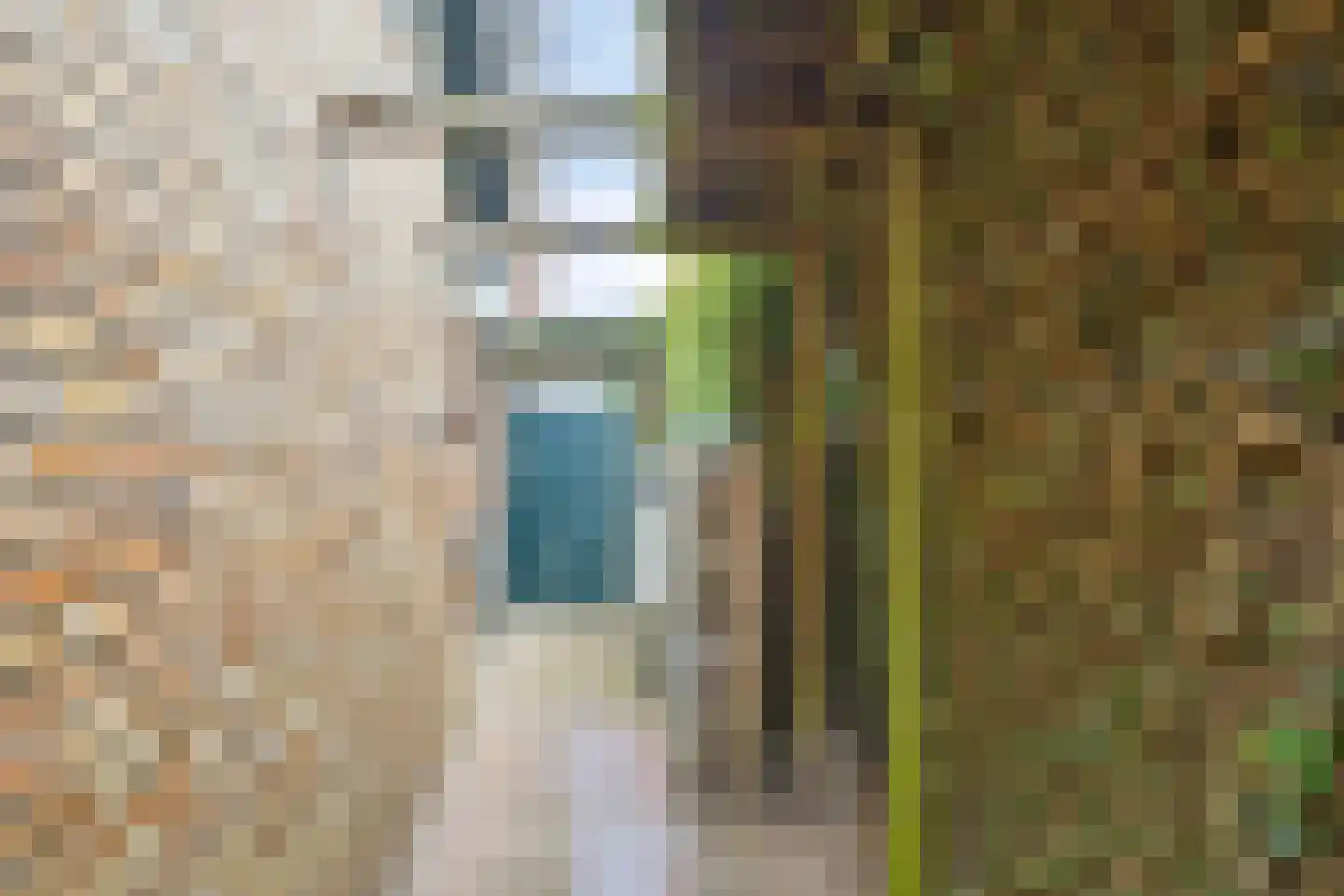 Bosstraat 66 Swalmen thumbnail 47