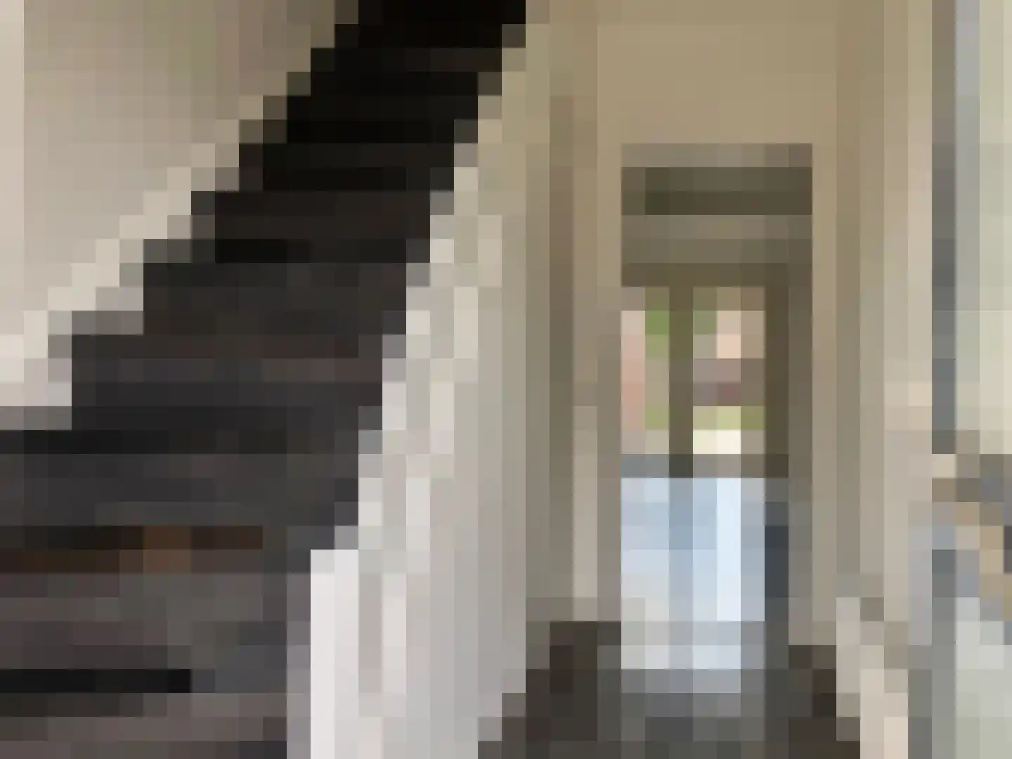 Bosstraat 7 Almelo thumbnail 5