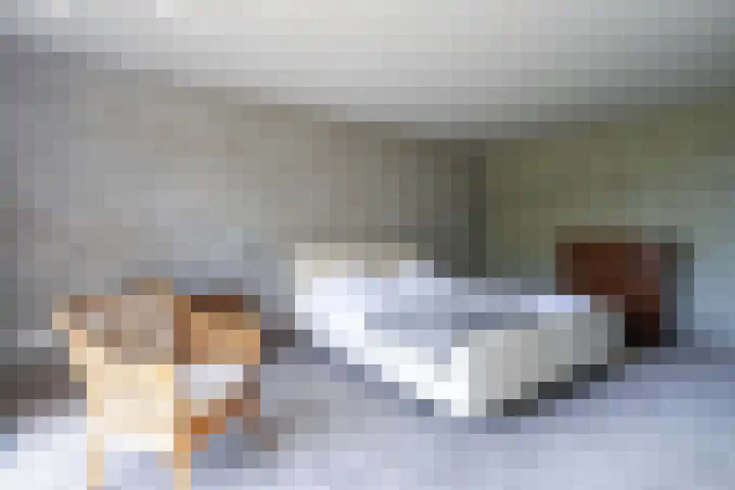 Bosstraat 7 Moergestel thumbnail 17