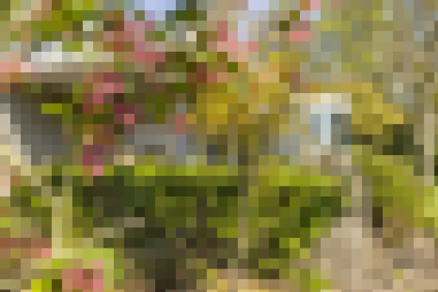 Bosstraat 7 Moergestel thumbnail 34