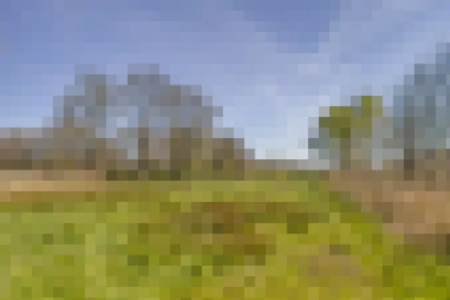 Bosstraat 7 Moergestel thumbnail 44