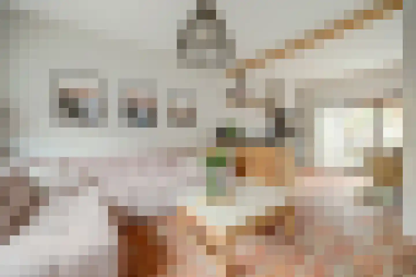 Bosstraat 7 Tholen thumbnail 13
