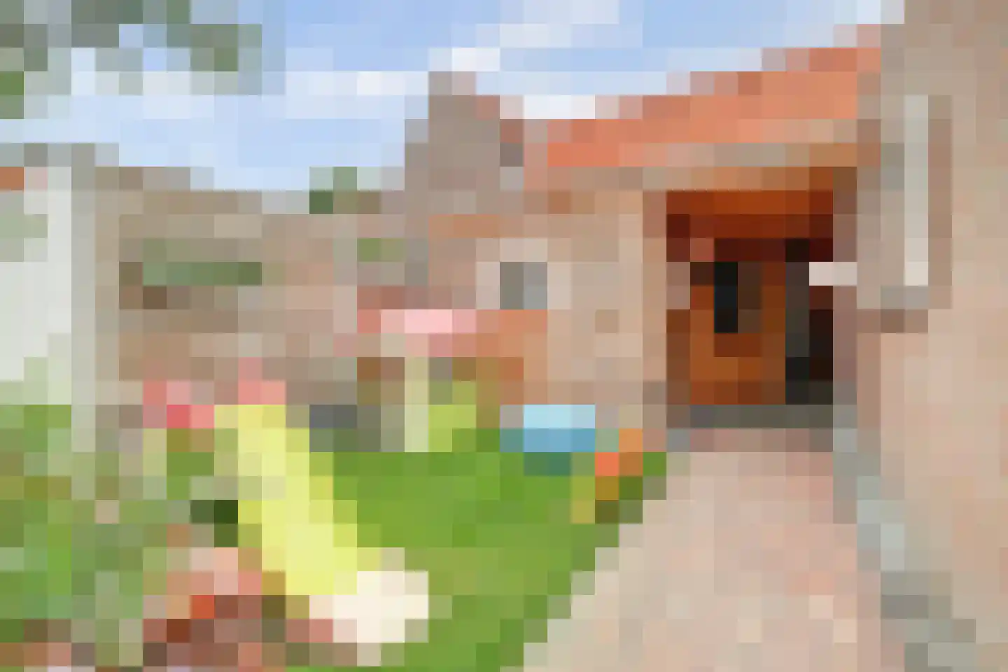 Bosstraat 7 Tholen thumbnail 39