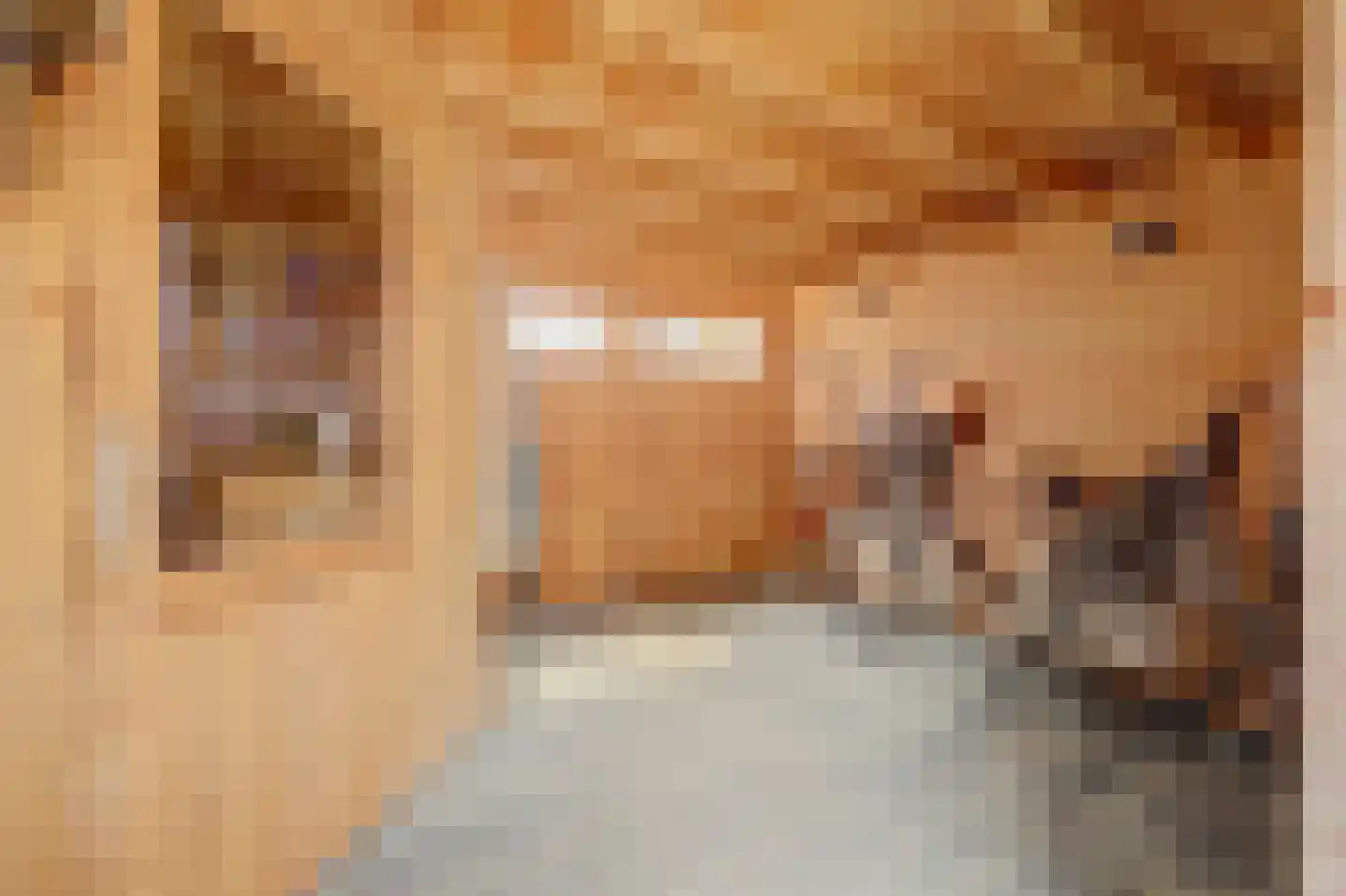 Bosstraat 7 Tholen thumbnail 42