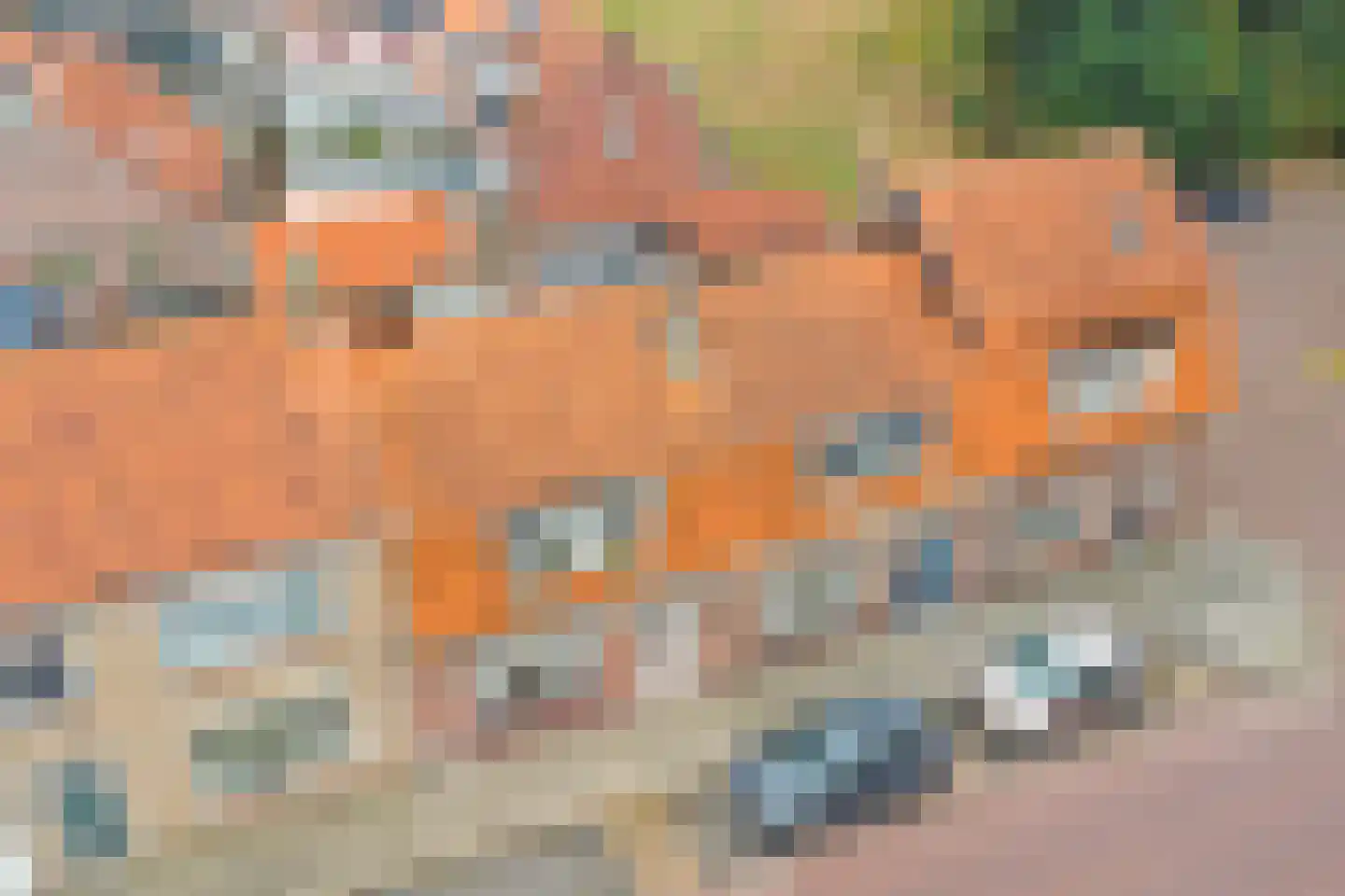 Bosstraat 7 Tholen thumbnail 45