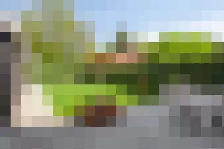 Bosstraat 70 A Soest thumbnail 36