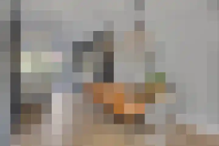 Bosstraat 70 A Soest thumbnail 8