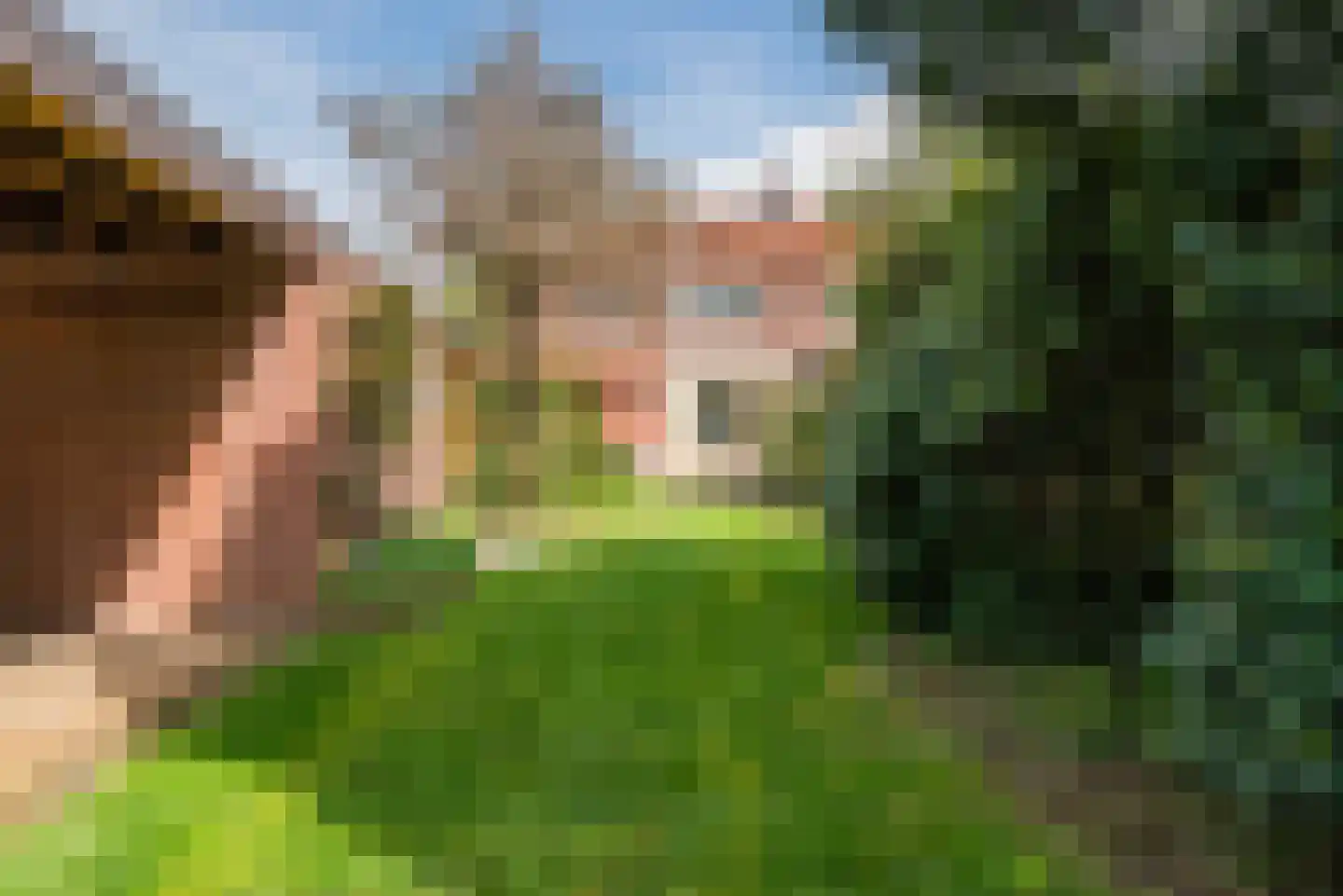 Bosstraat 72 Valkenswaard thumbnail 29