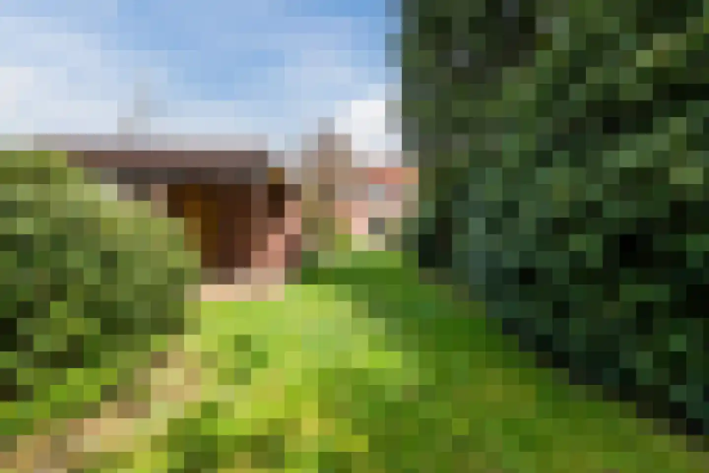 Bosstraat 72 Valkenswaard thumbnail 5