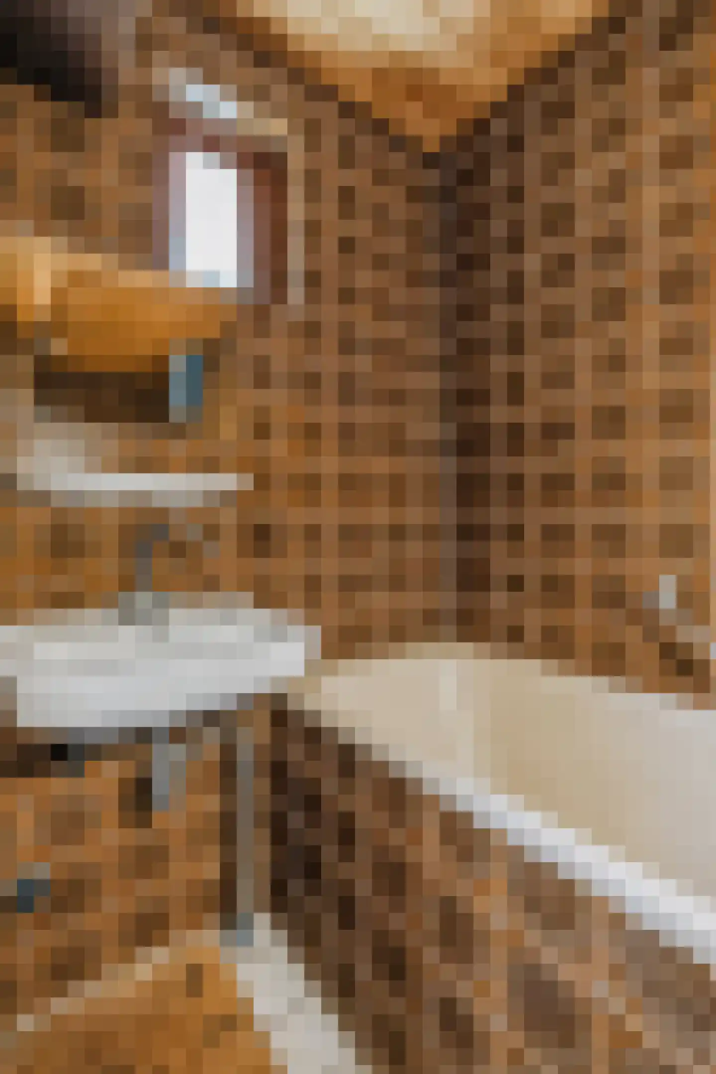 Bosstraat 8 Erp thumbnail 27
