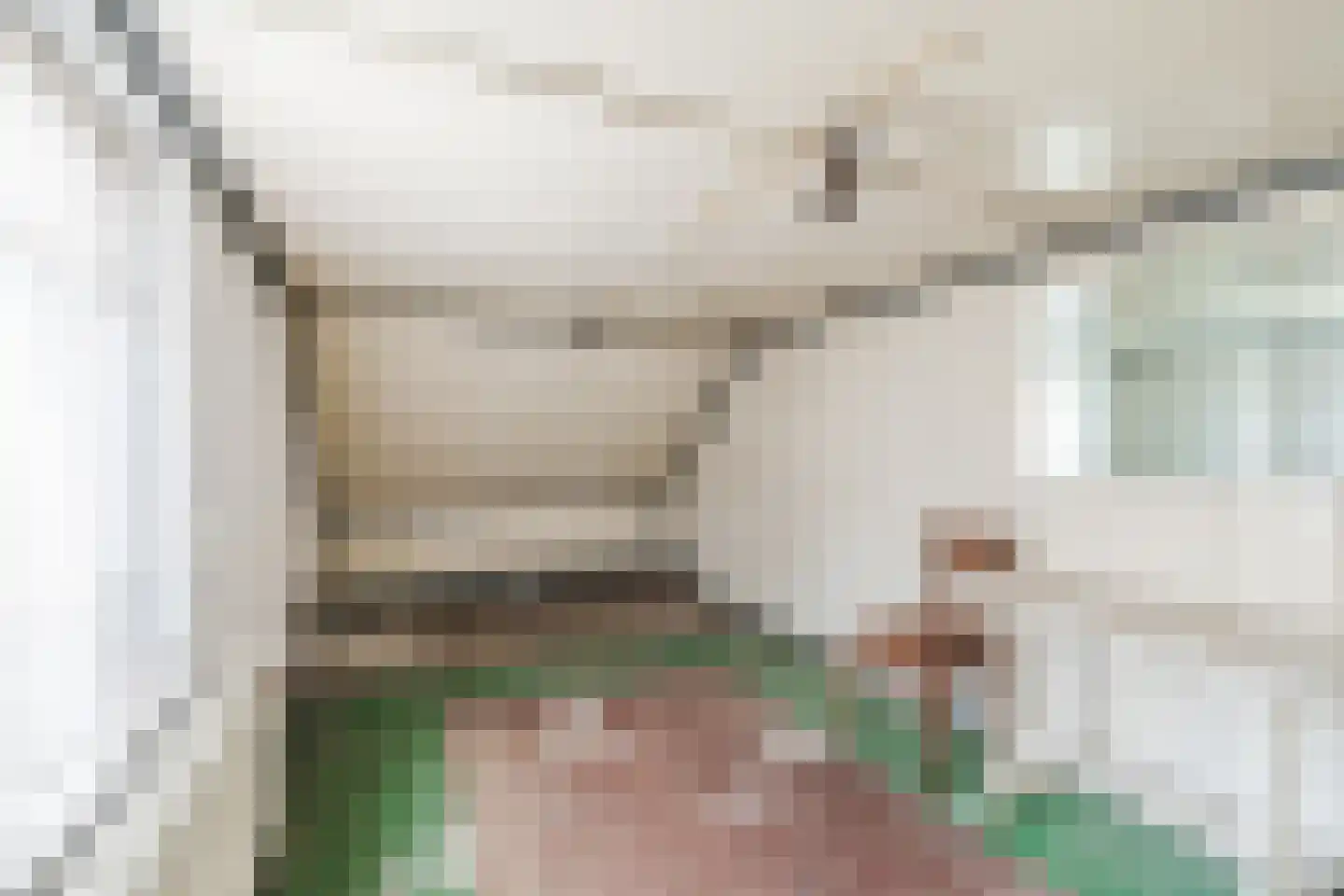 Bosstraat 8 Erp thumbnail 33