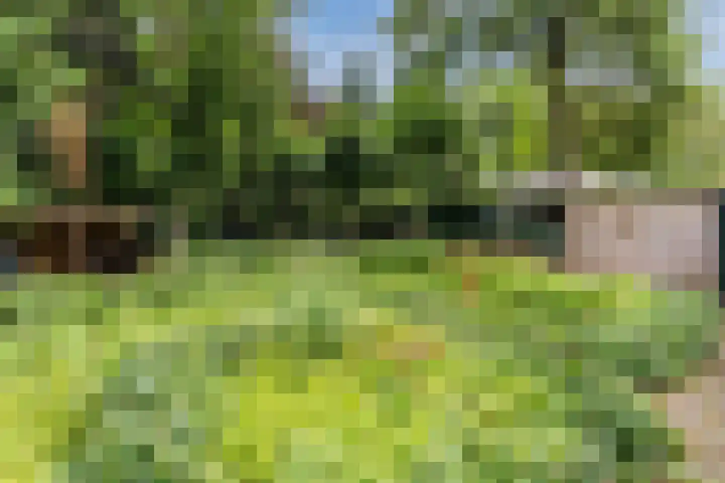 Bosstraat 8 Erp thumbnail 38