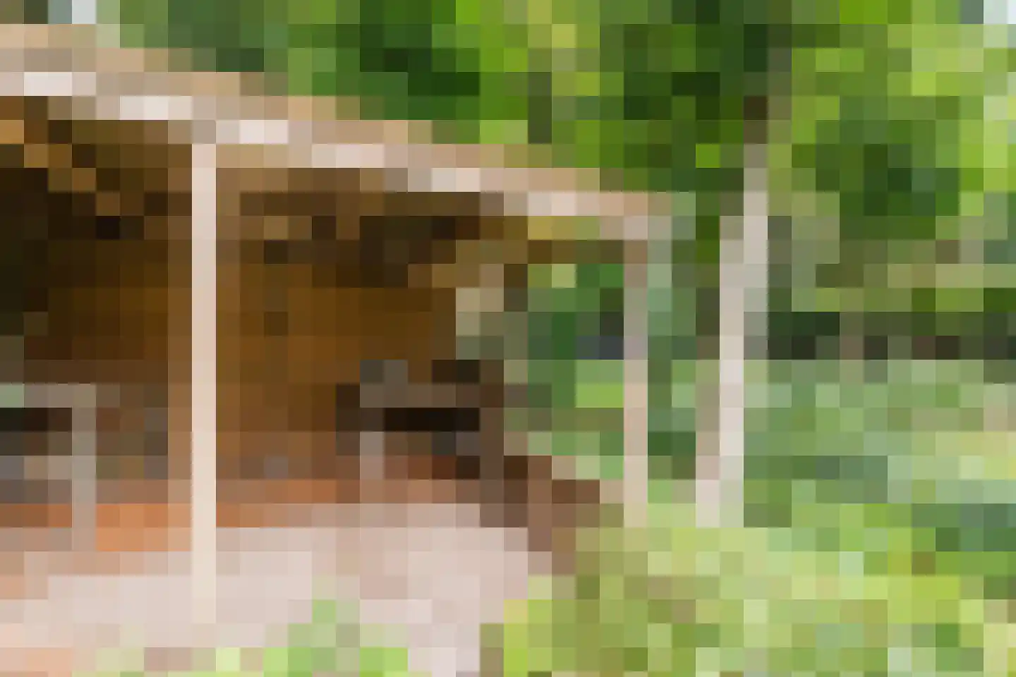 Bosstraat 8 Erp thumbnail 40