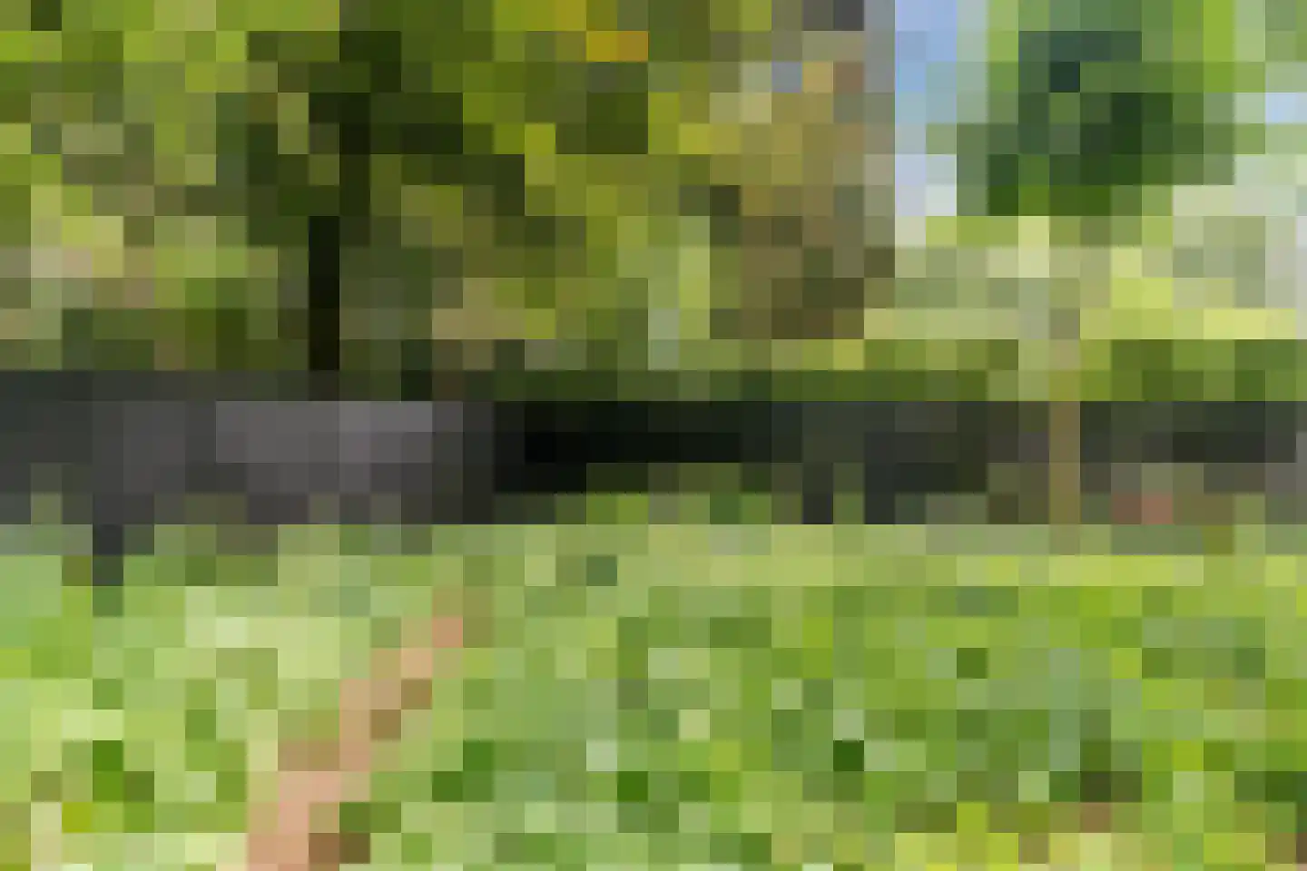 Bosstraat 8 Erp thumbnail 41