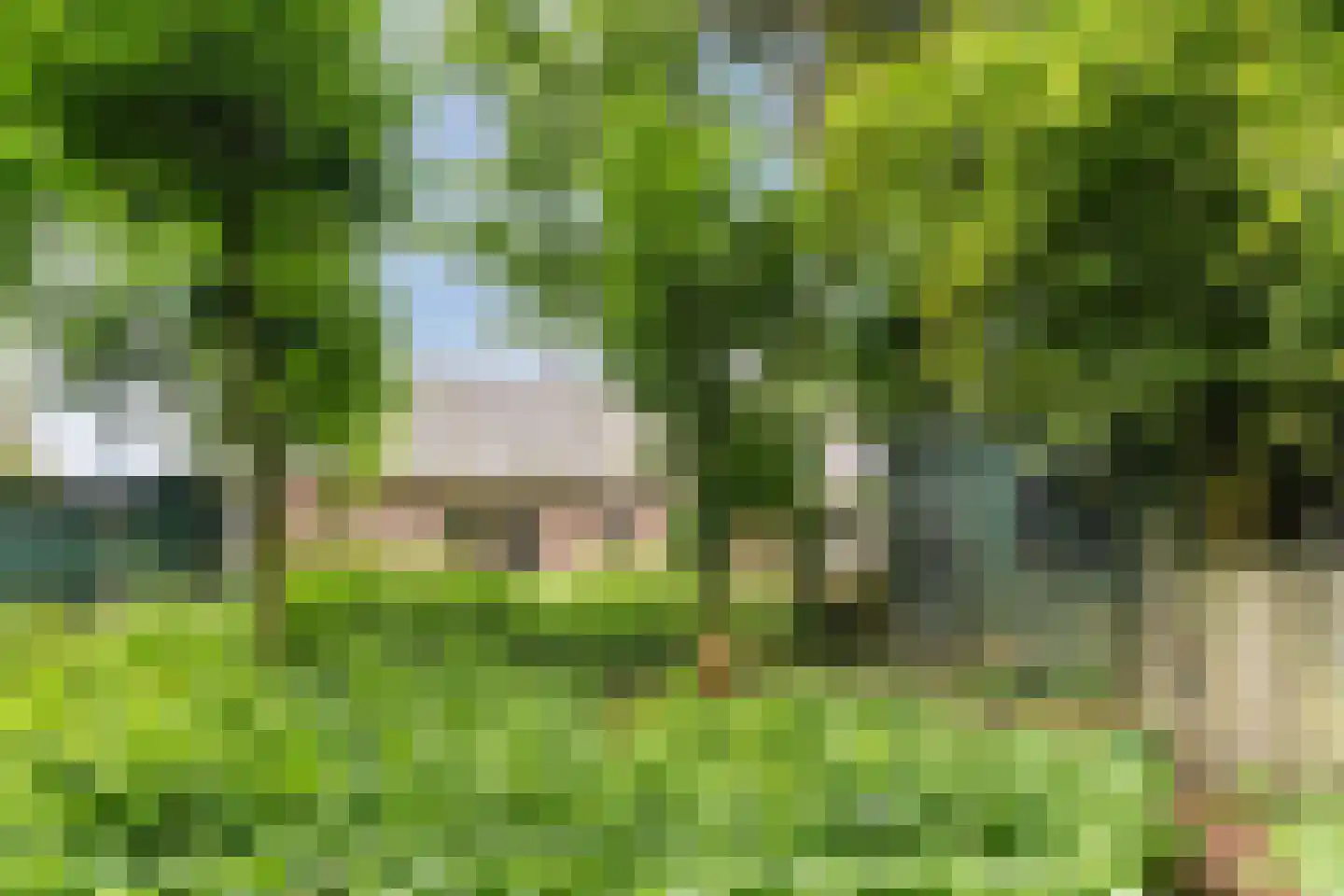 Bosstraat 8 Erp thumbnail 42