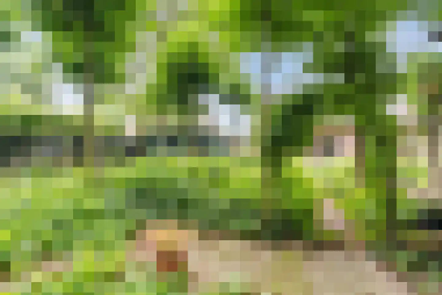 Bosstraat 8 Erp thumbnail 44