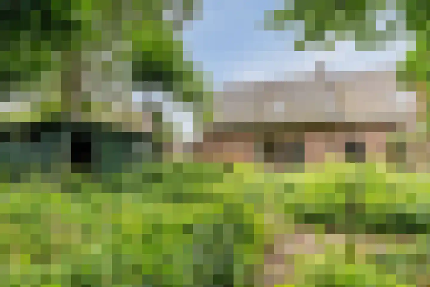 Bosstraat 8 Erp thumbnail 45