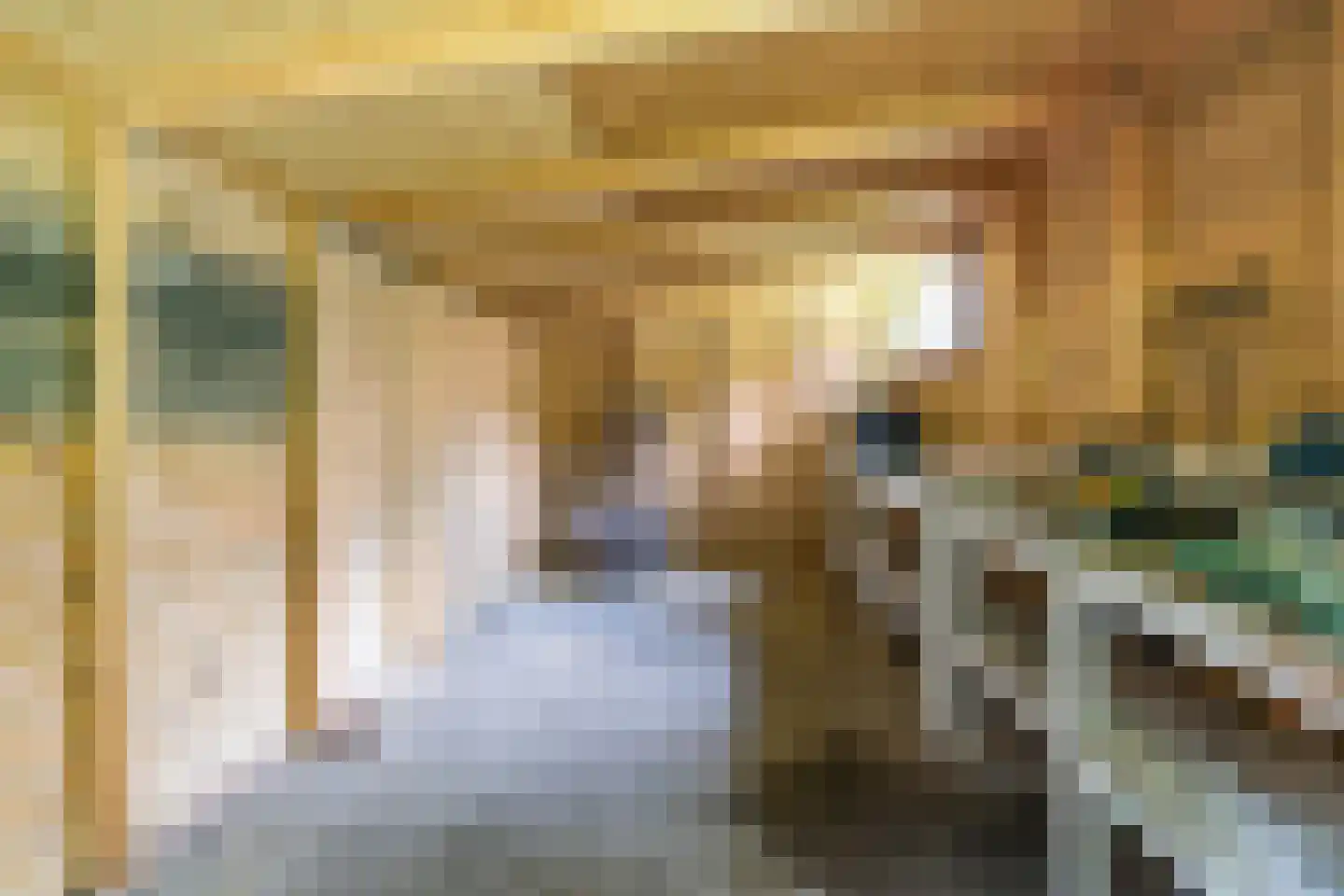 Bosstraat 8 Erp thumbnail 46