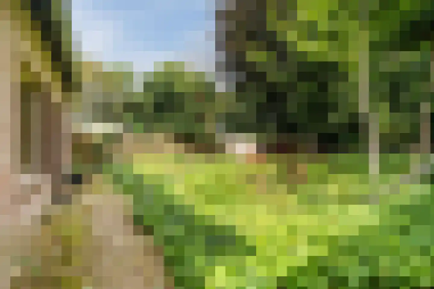Bosstraat 8 Erp thumbnail 48