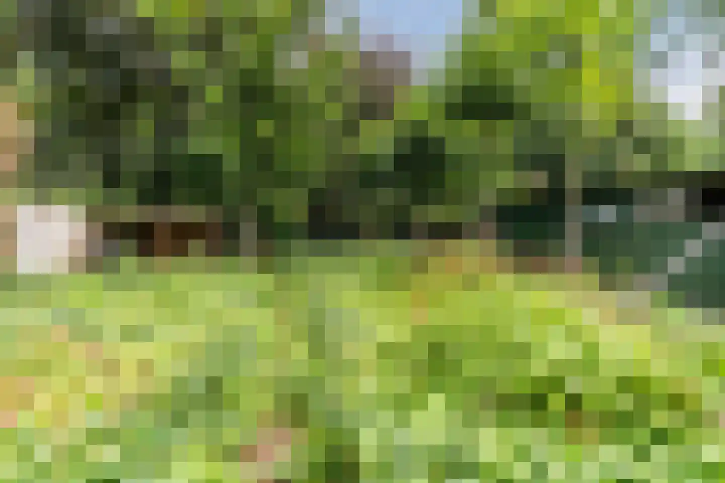 Bosstraat 8 Erp thumbnail 5