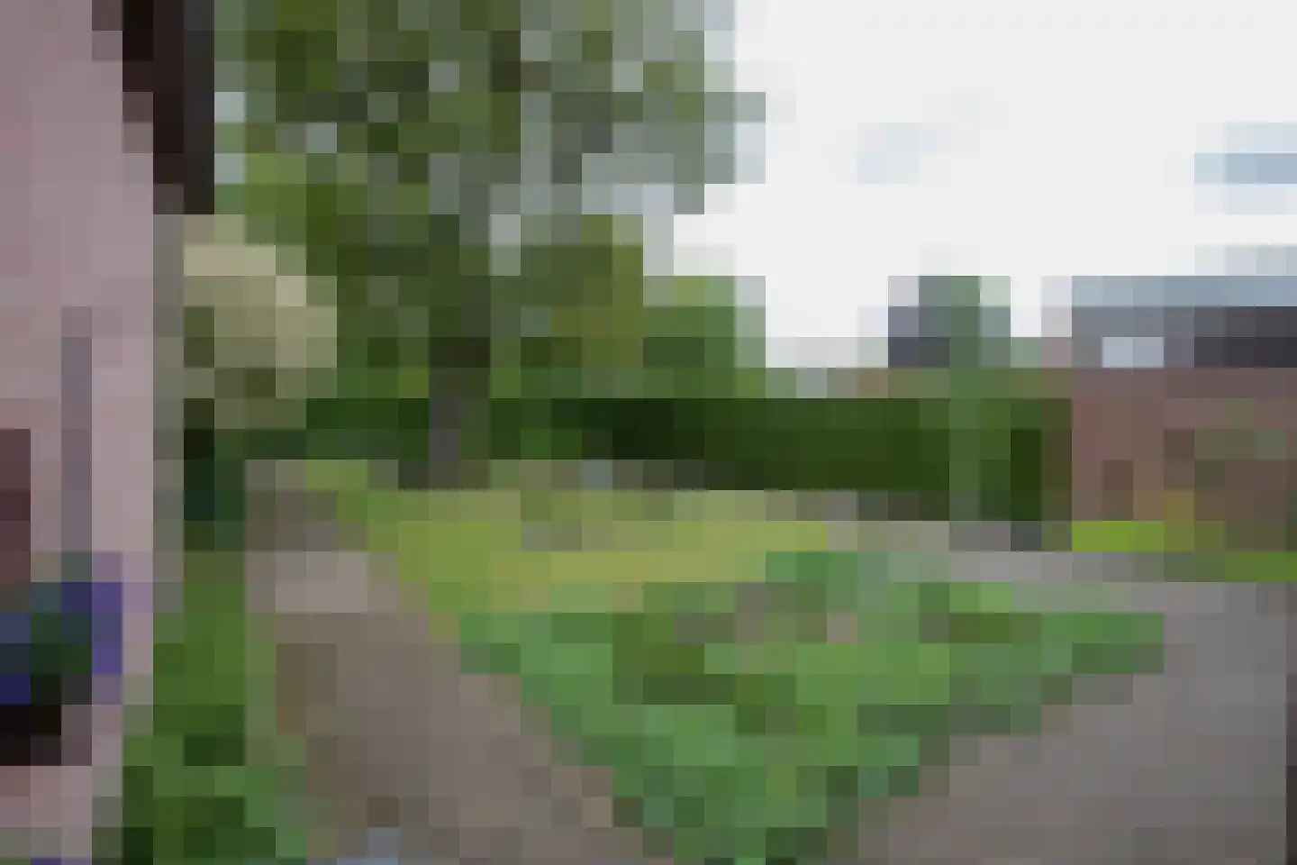 Bosstraat 8 Heibloem thumbnail 25