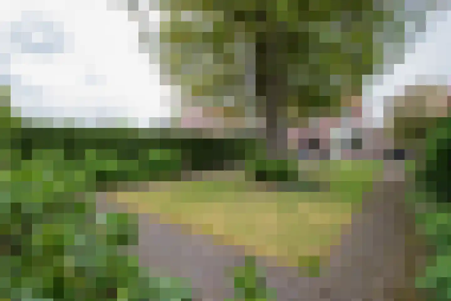 Bosstraat 8 Heibloem thumbnail 27