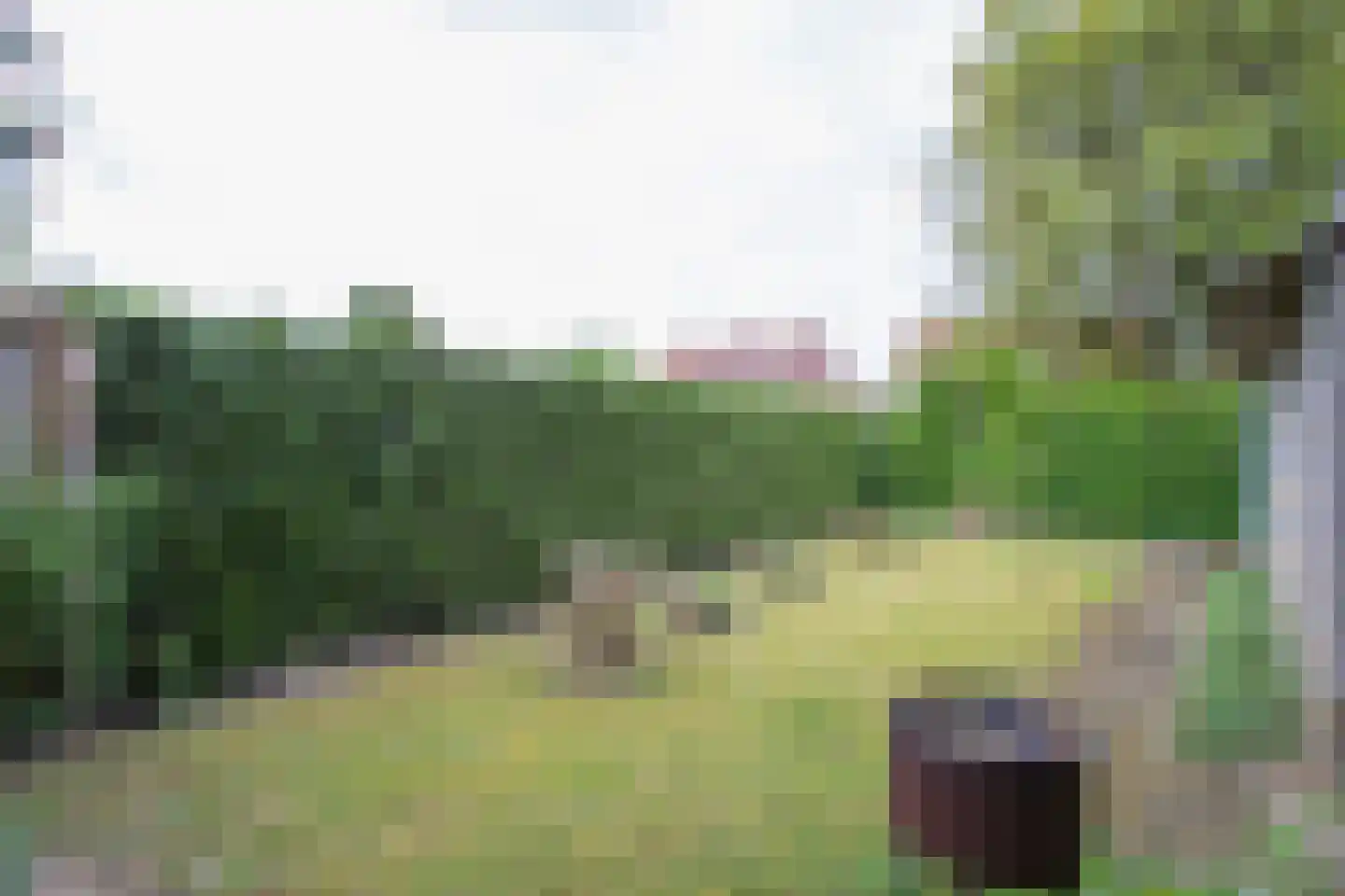 Bosstraat 8 Heibloem thumbnail 28