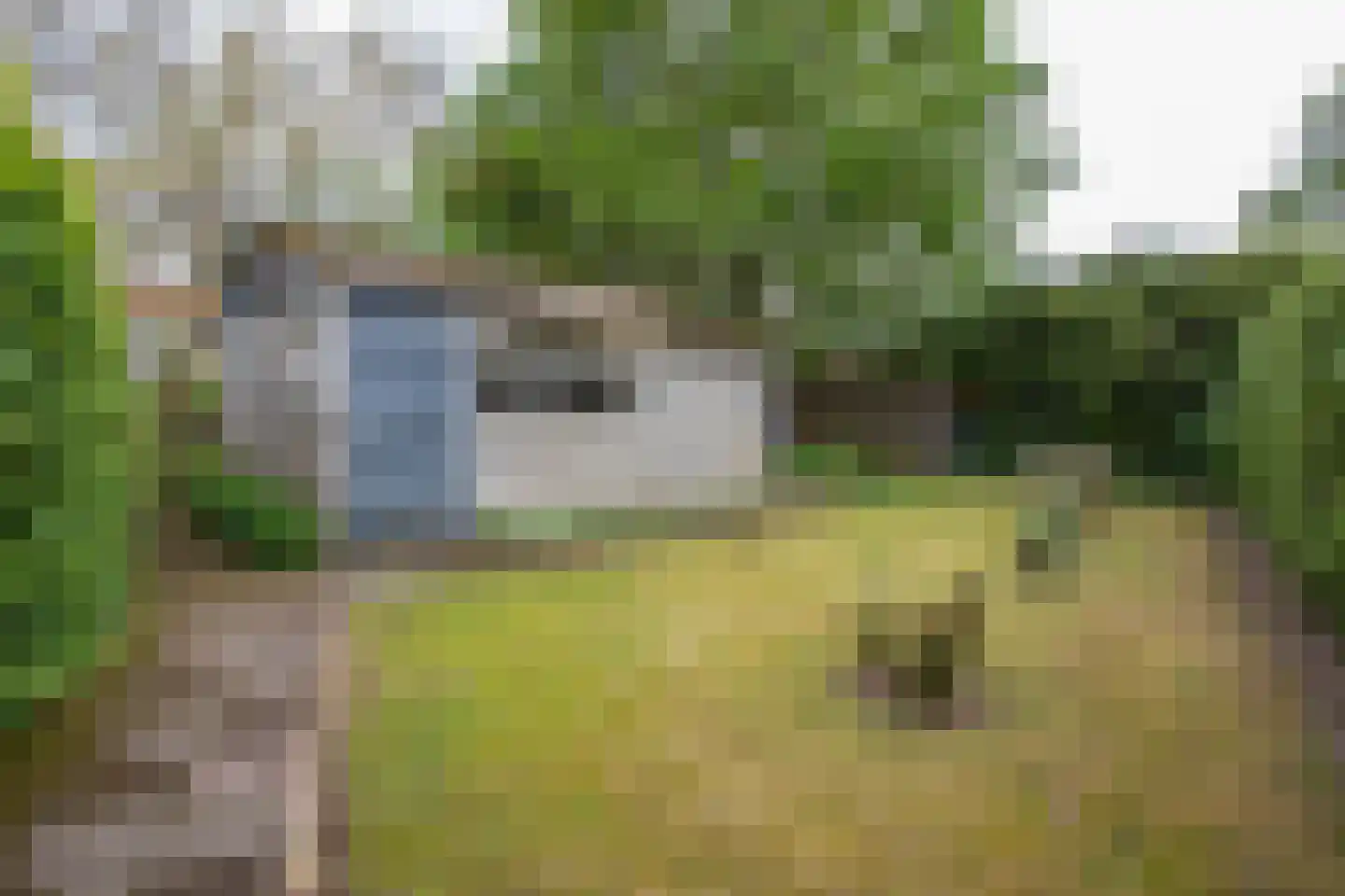 Bosstraat 8 Heibloem thumbnail 29