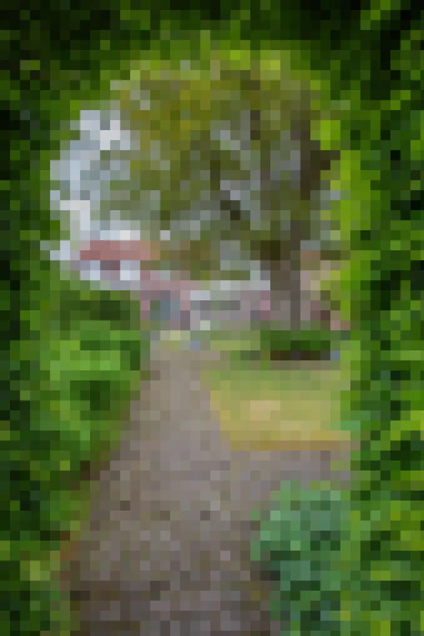 Bosstraat 8 Heibloem thumbnail 31