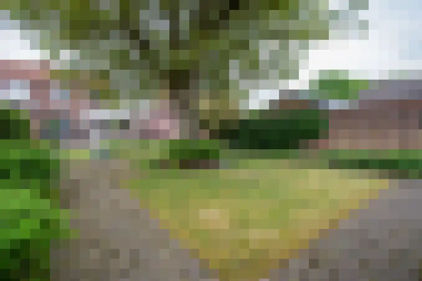 Bosstraat 8 Heibloem thumbnail 32