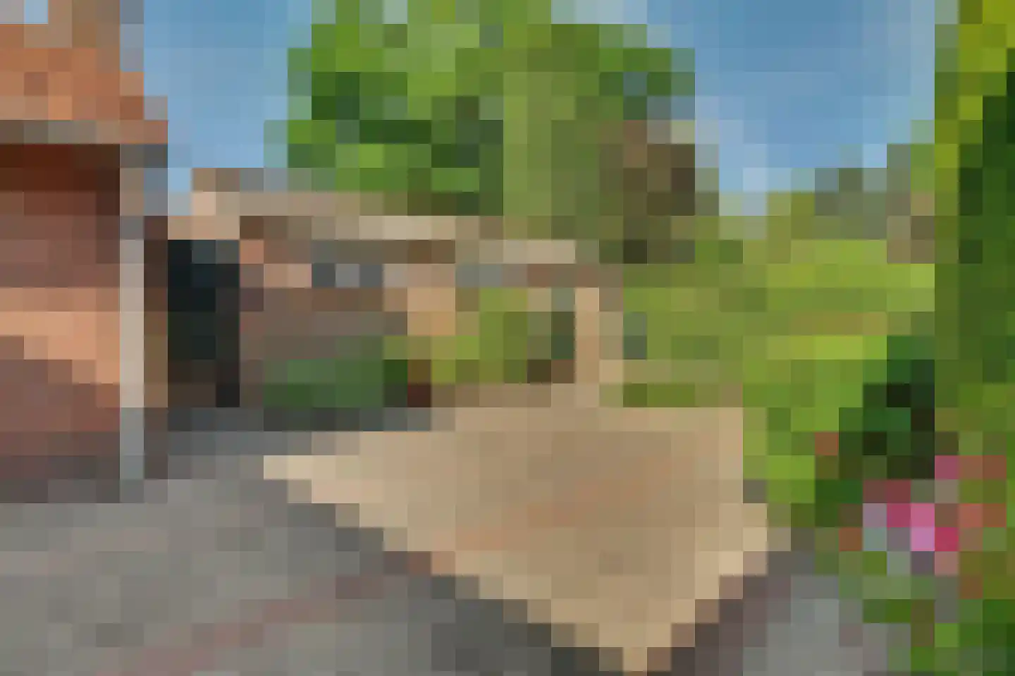 Bosstraat 8 Moergestel thumbnail 15