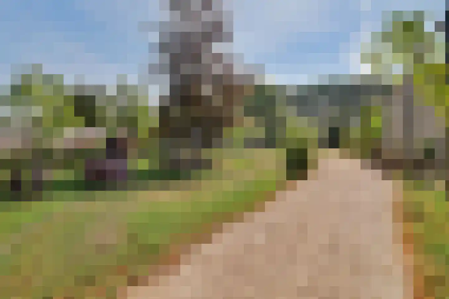 Bosstraat 8 Moergestel thumbnail 25