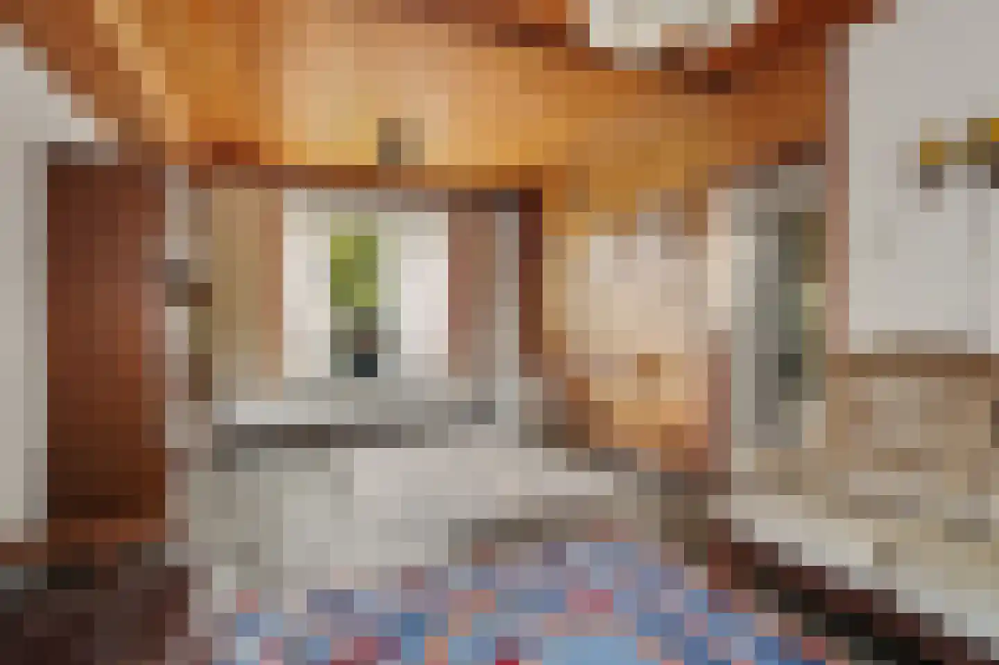 Bosstraat 8 Moergestel thumbnail 5