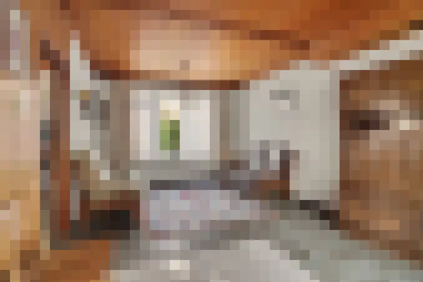 Bosstraat 8 Moergestel thumbnail 8
