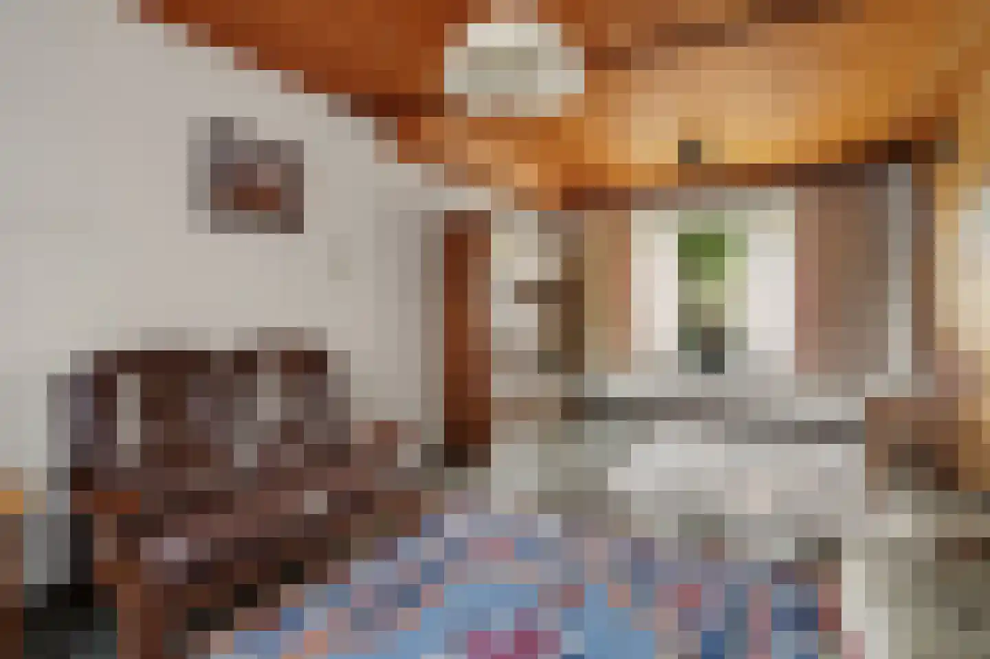 Bosstraat 8 Moergestel thumbnail 9