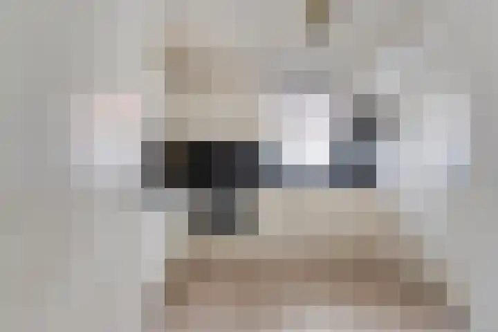 Bosstraat 8 Neeritter thumbnail 13