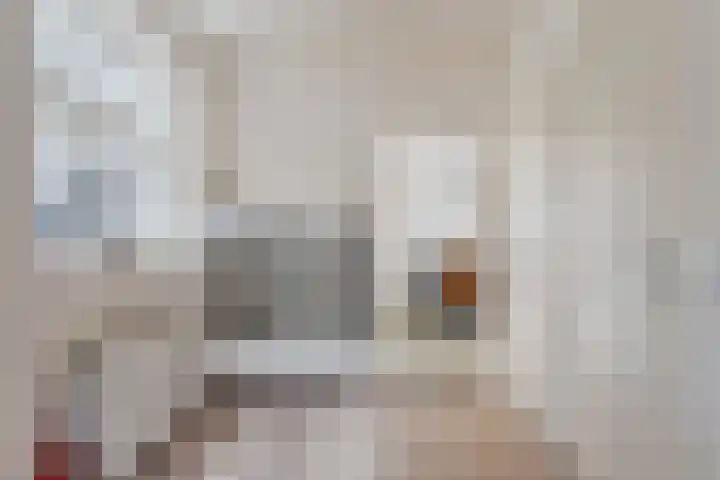 Bosstraat 8 Neeritter thumbnail 15