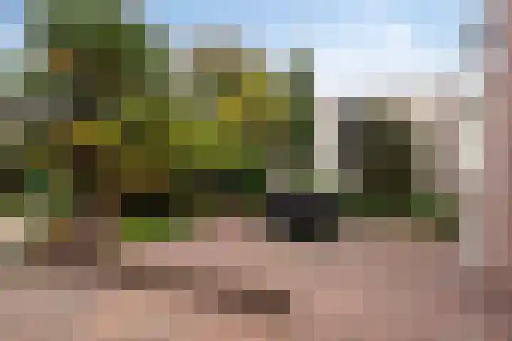 Bosstraat 8 Neeritter thumbnail 27