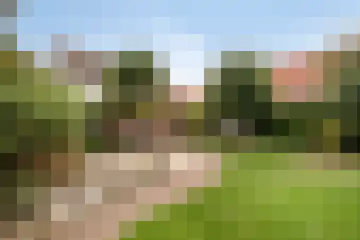 Bosstraat 8 Neeritter thumbnail 31