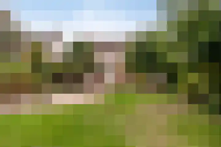 Bosstraat 8 Neeritter thumbnail 32