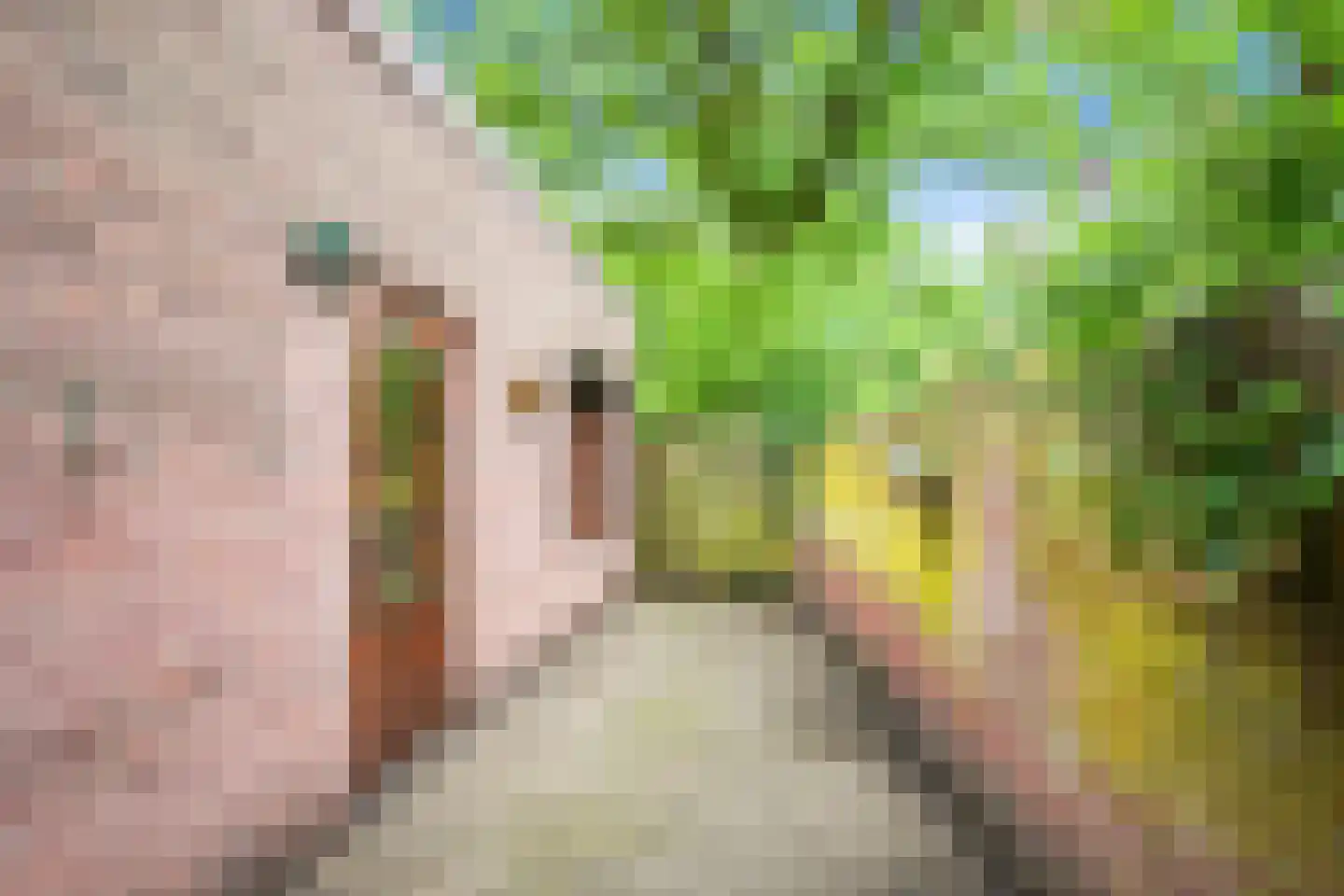 Bosstraat 8 Vaals thumbnail 10
